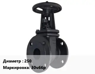 Задвижка чугунная 250 30ч66р Ру10